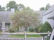 Manchester Rental - Warm and Inviting Townhome -