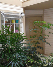 One bedroom apartment in Orlando - recently renovated