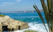 San Diego Vacation Rentals